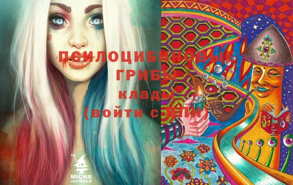 экстази Краснослободск