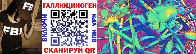 цена   Кремёнки  Псилоцибиновые грибы Psilocybe 